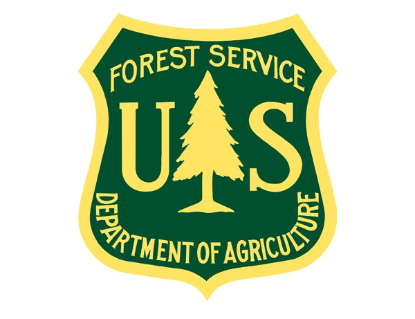 US Forest Service Firings Decimate Already Understaffed Agency
