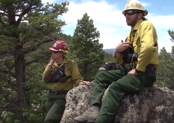 Fireline Lookouts
