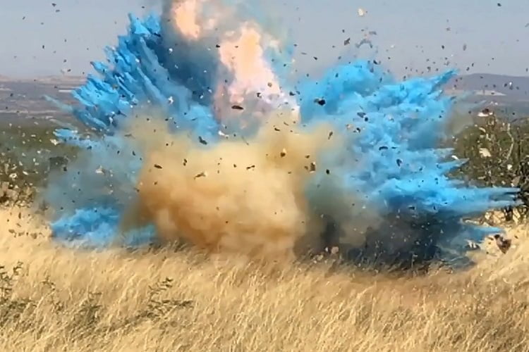 Injuries, Death, and Fires in Some Gender Reveal Parties