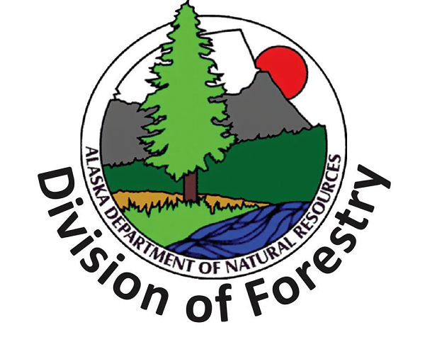 Four Injured in Alaska Division of Forestry Plane Crash