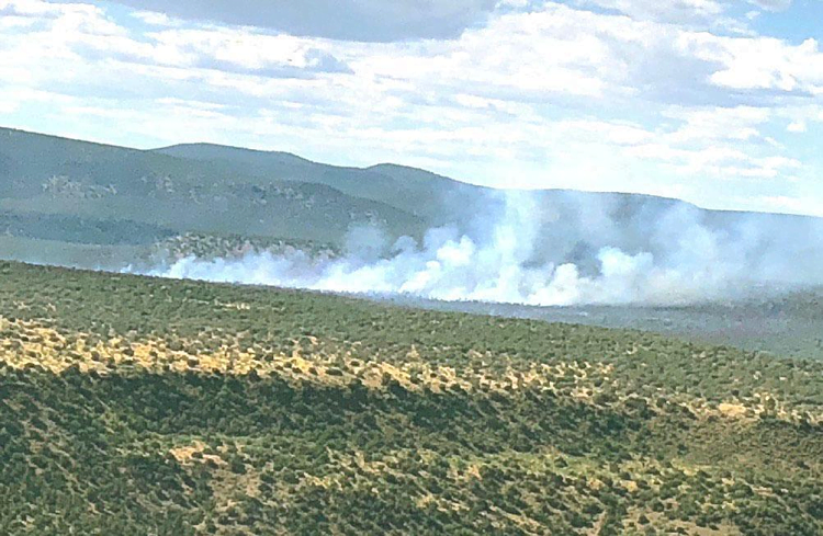 Pilot Killed in Helicopter Crash at Arizona Wildfire Identified