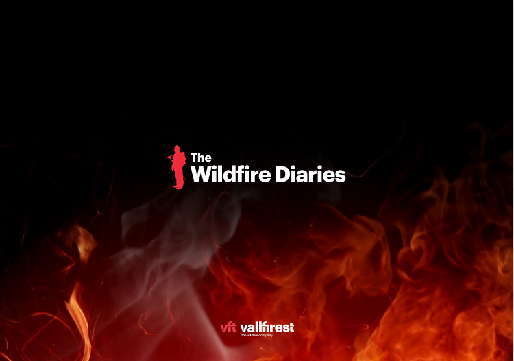The Wildfire Diaries