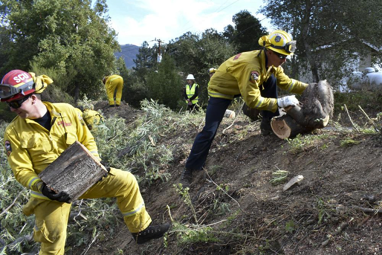 Report: California Governor Overstated Fire Prevention Work