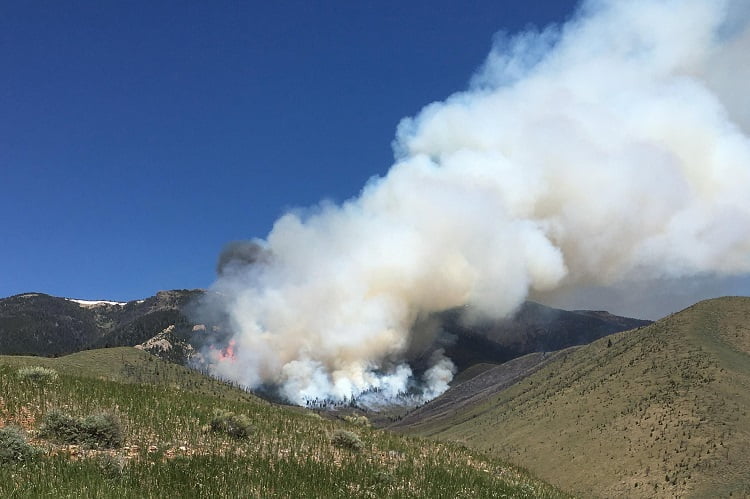 More Help Sought for Montana Wildfires