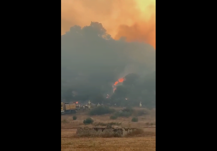 The Wildfire Diaries, Episode 3