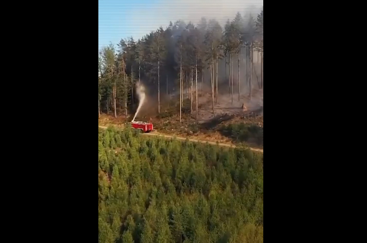 The Wildfire Diaries, Episode 4