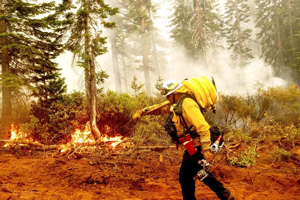 U.S. Seeks Ways to Recruit, Retain Wildland Firefighters