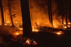 Firefighter with drip torch at Dixie Fire