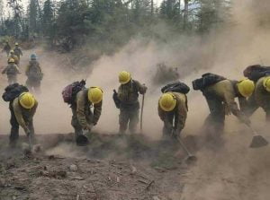 Wildland firefighters on fire line