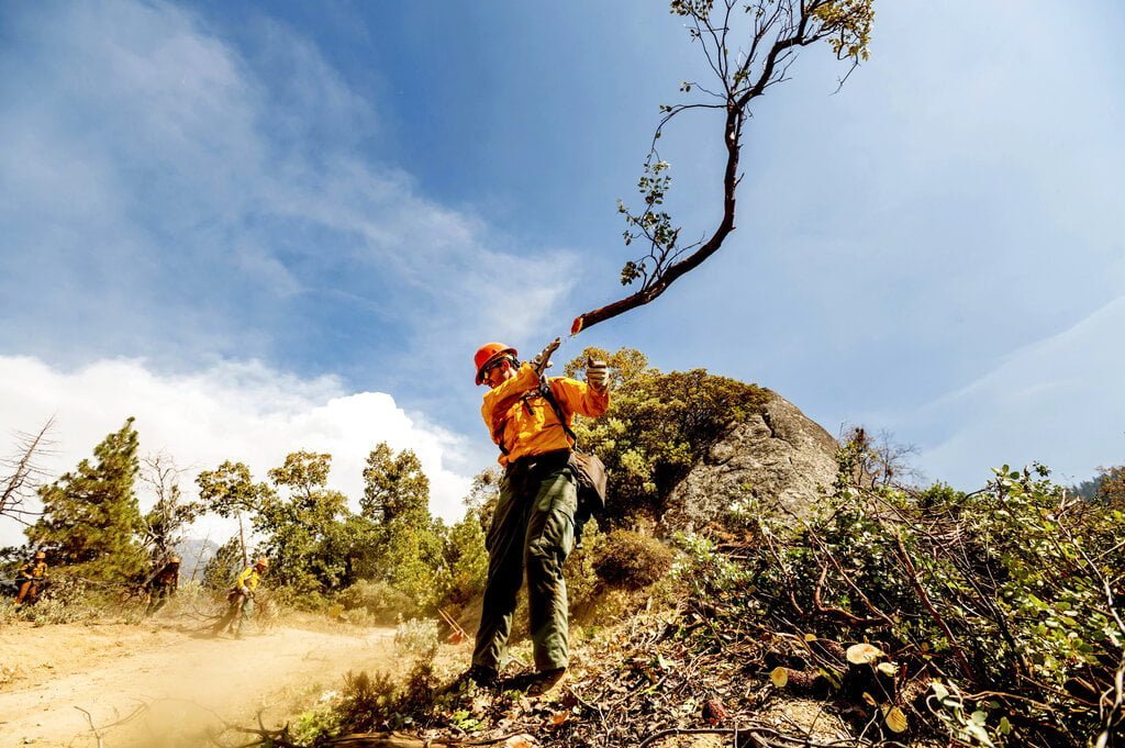 Firefighters Struggling to Save CA Giant Sequoias