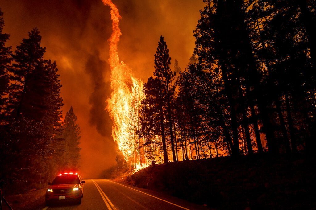 Ex-University Professor Indicted for California Wildland Fire Arson