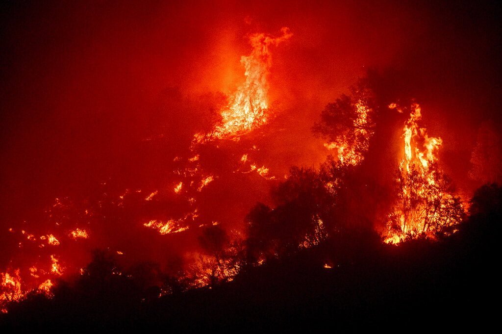 Four Injured by Falling Tree at KNP Complex Fire in CA