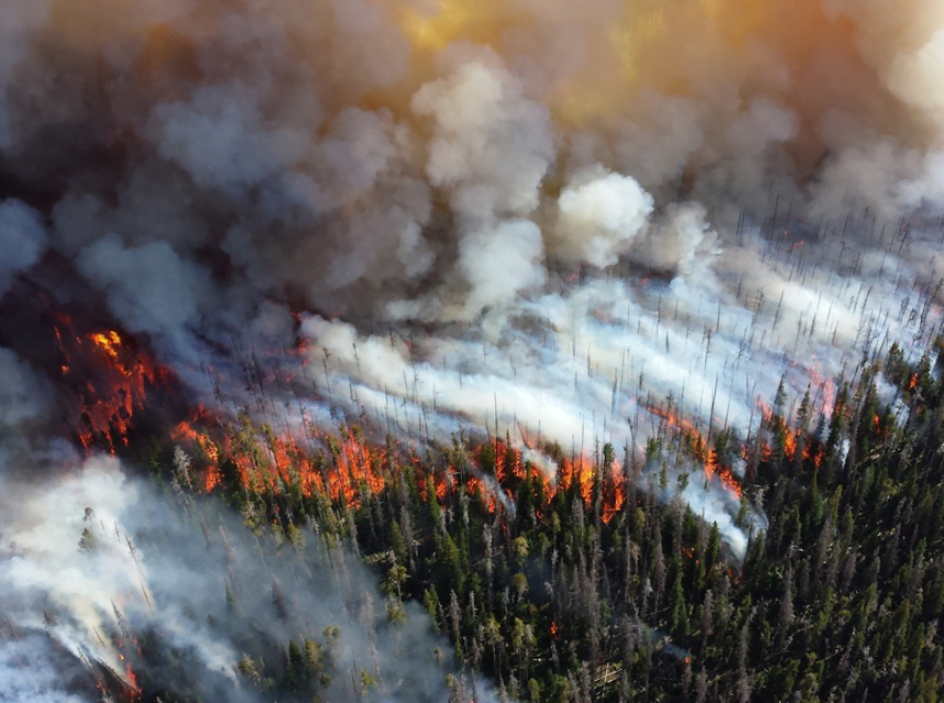 Wind-Stoked Wildfire Causes Death in Wyoming, Evacuations