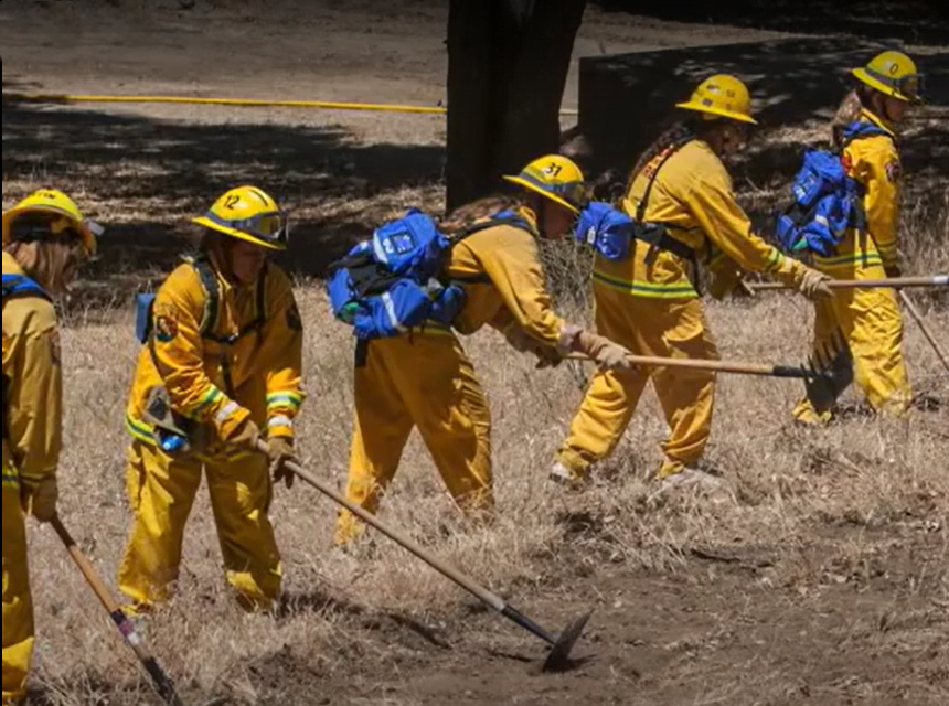 Wildland Firefighting School Gives Students Real-World Deel for Demands of Battling Wildfires