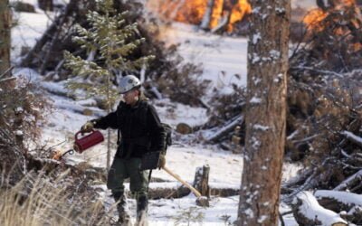 Changing Snowfall Makes It Harder to Fight Fire With Fire