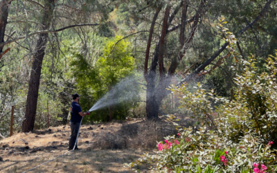 Perimeter Solutions, Allied Disaster Defense Partner to Protect Property, Lives from Wildfires with PHOS-CHEK® FORTIFY® Long-Term Fire Retardant