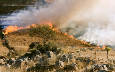 Idaho Governor OKs Wildland Firefighter Hazard Pay Raises