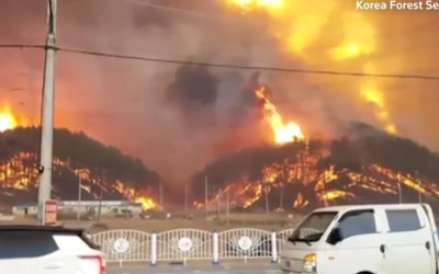 South Korean Wildfire Forces Thousands to Flee Their Homes