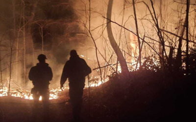 Crews Work to Contain Wildfire Near Smoky Mountains