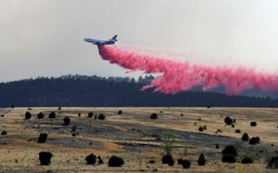 President Declares Disaster in New Mexico Wildfire Zone