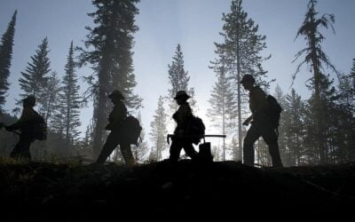 Hellish Fires, Low Pay, Trauma: CA Forest Service Firefighters Face a Morale Crisis