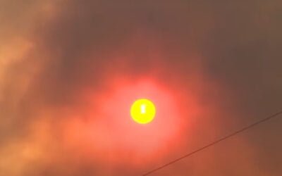 Flagstaff (AZ) Wildfire Forces Evacuations, Steadily Grows to Over 4,500 Acres