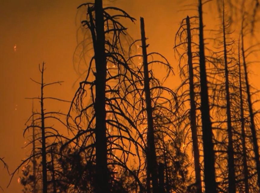 CA Oak Fire Extends to 18,000 Acres; 18% Contained as 3,000 Firefighters Battle It