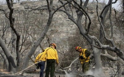 Chief: Bottle-Magnified Sunlight Ignited Possum Kingdom (TX) Fire