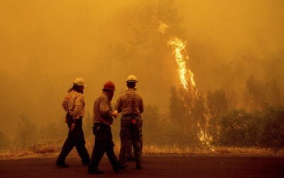 Western Flames Spread, CA Sees Its Largest 2022 Fire