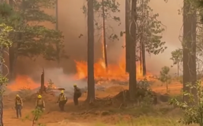 CAL FIRE Firefighter Contract Calls For More Money, Fewer Hours