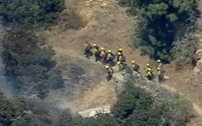 Apparent Human Bones Found During Los Angeles (CA) Brush Fire