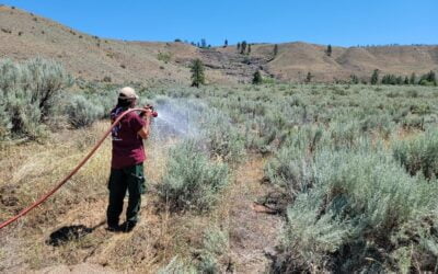 Colville Tribes Partner with Perimeter Solutions on Long-Term Fire Retardant to Protect Low Income Housing Complex