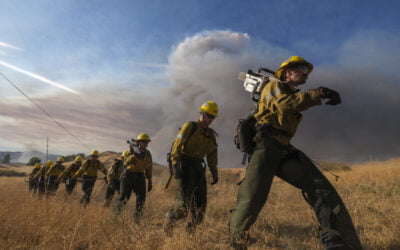 Eight Firefighters Suffer Heat Injuries in CA Route Fire