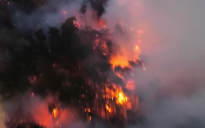 Evacuations Ordered as Close to 100 Firefighters Take on TN Wildfire