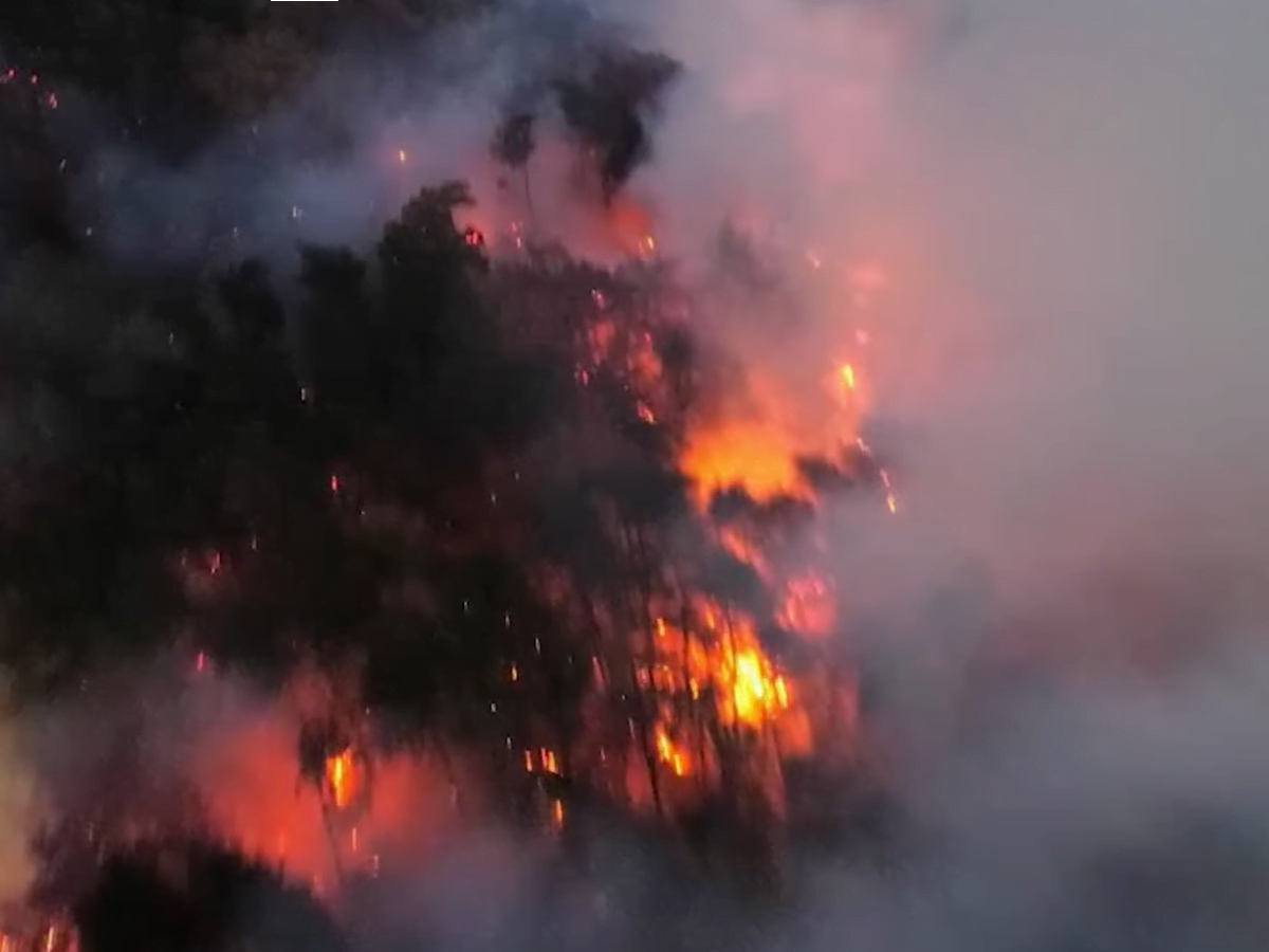 Evacuations Ordered as Close to 100 Firefighters Take on TN Wildfire