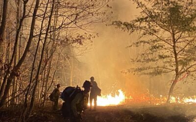 Wildfire Burns Part of Southern OH Wayne National Forest