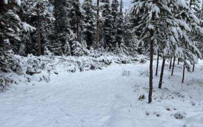 Rain, Snowfall Reduce Risk of CA Wildfires