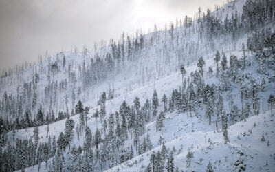 CA Snowpack Off to Great Start Amid Severe Drought