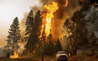 Feds Spend $930 Million to Curb ‘Crisis’ of Wildfires