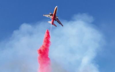 Magnesium Chloride-Based Fire Retardant. Is it Worth the Risk?
