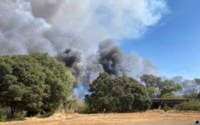 Hopkins Fire Arson Trial to Take Place in Marin County (CA)