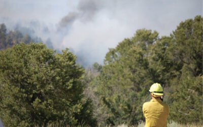 Human Factors in the Wildland Urban Interface