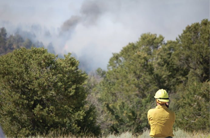 Human Factors in the Wildland Urban Interface