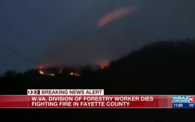 Falling Tree Kills WV Forestry Firefighter Battling Wildland Fire