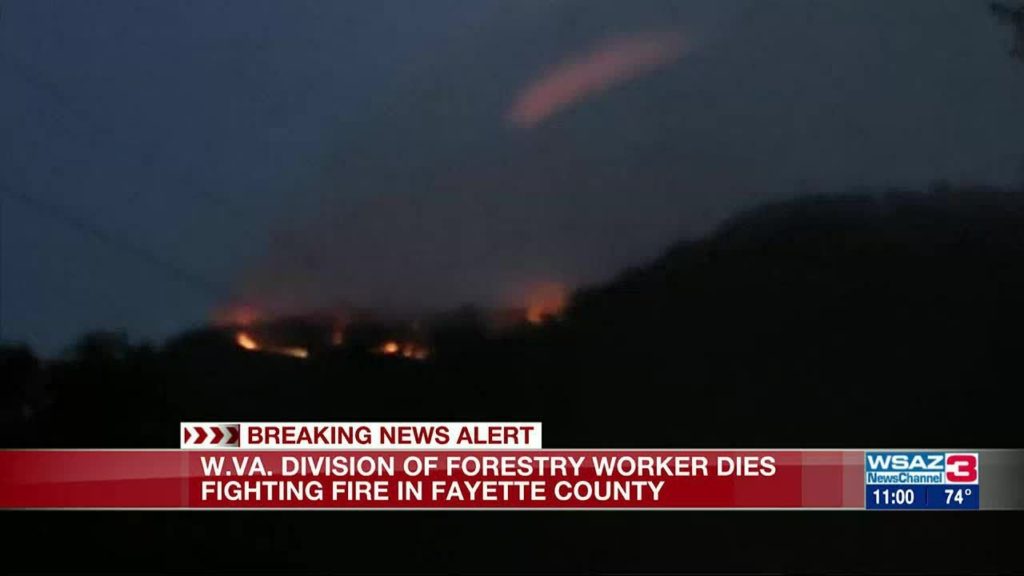 Falling Tree Kills WV Forestry Firefighter Battling Wildland Fire
