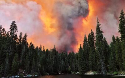 What Can Northern CA Expect This Wildfire Season? It Depends