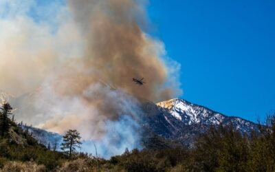 CA ‘Weather Whiplash’ Fuels Uncertainty in Upcoming Wildfire Season
