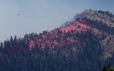 Judge Shoots Down Environmentalists’ Efforts to Stop Forest Service Dropping Wildfire Retardant