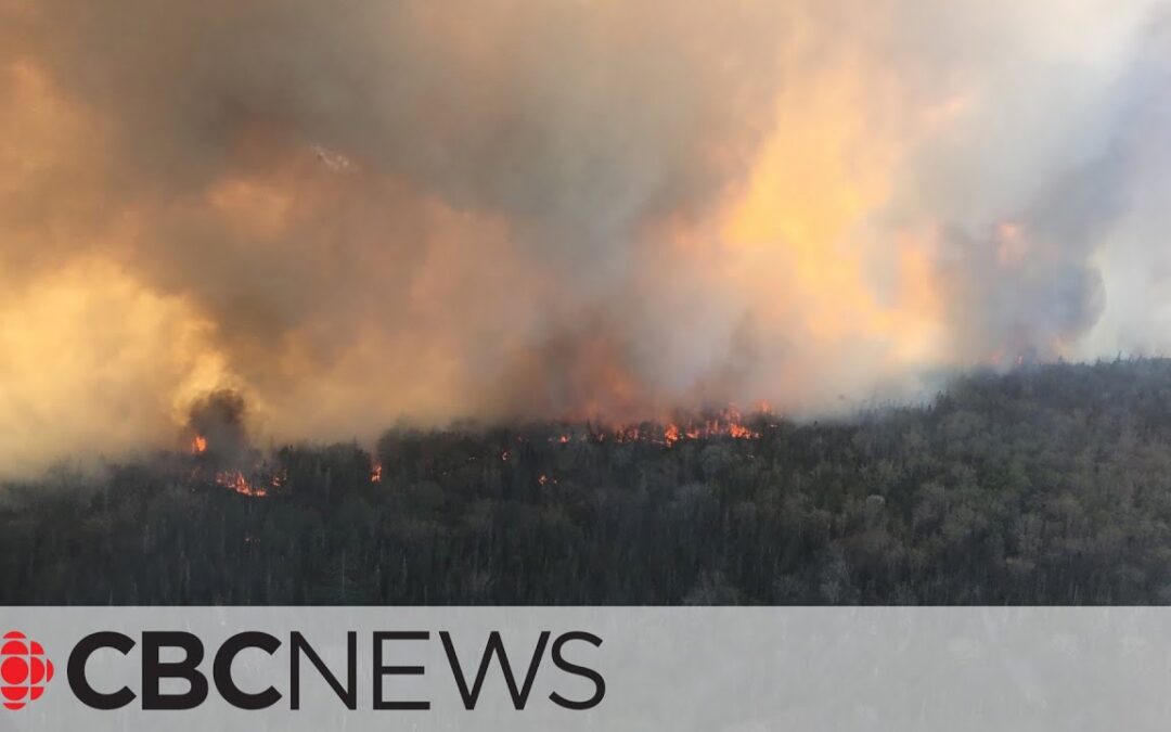Wildfire on Canada’s Atlantic Coast Spurs Evacuation of 16,000