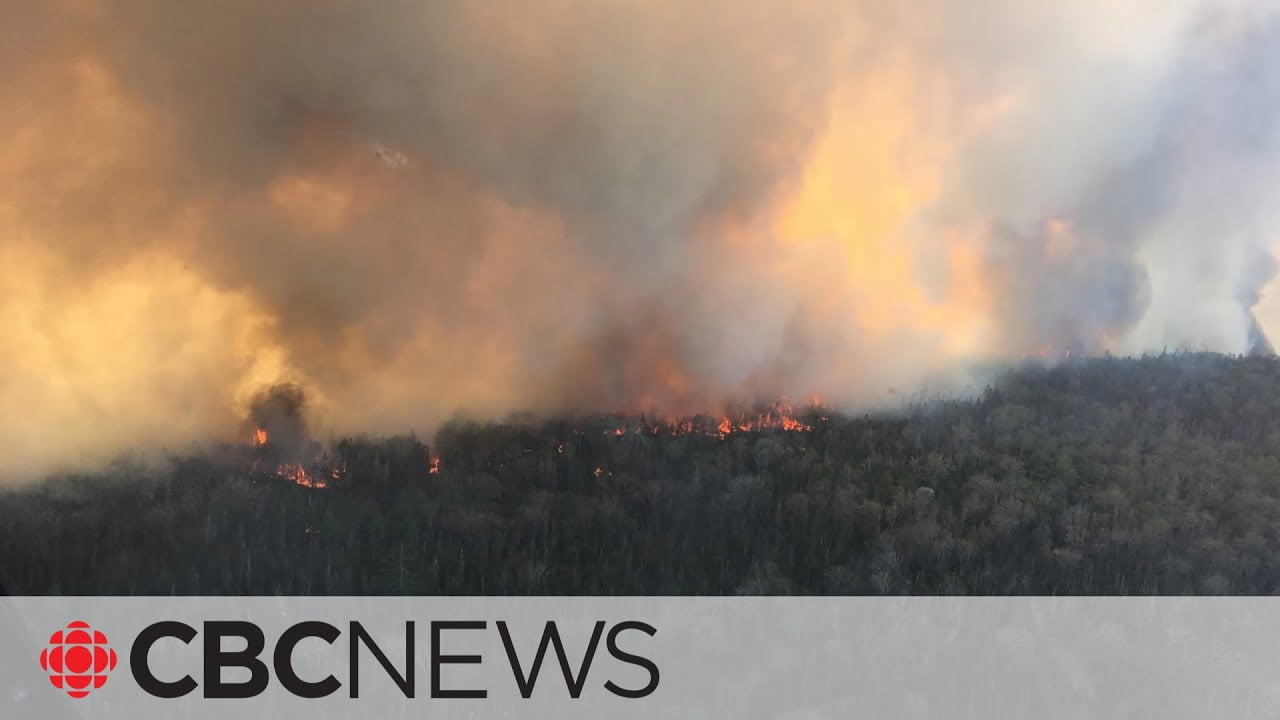 Wildfire on Canada’s Atlantic Coast Spurs Evacuation of 16,000